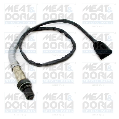 Oxygen Sensor